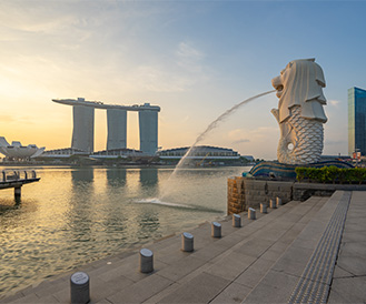 Singapore Dream Discovery